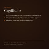 Cagrilintide: the research and regulatory record — view 4