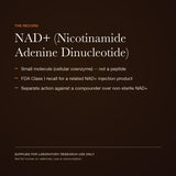 NAD+: the research and regulatory record — view 4
