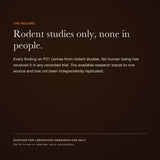 P21: the record — view 7